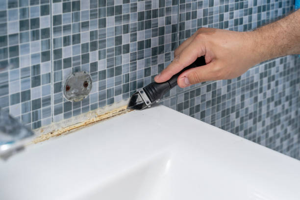 Best Health and Safety Mold Remediation in Las Palmas Ii, TX