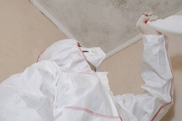 Best Mold Testing and Inspection Services in Las Palmas Ii, TX